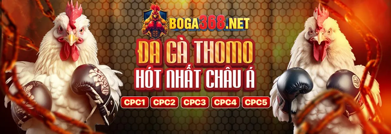 Xổ số và lô đề VB66